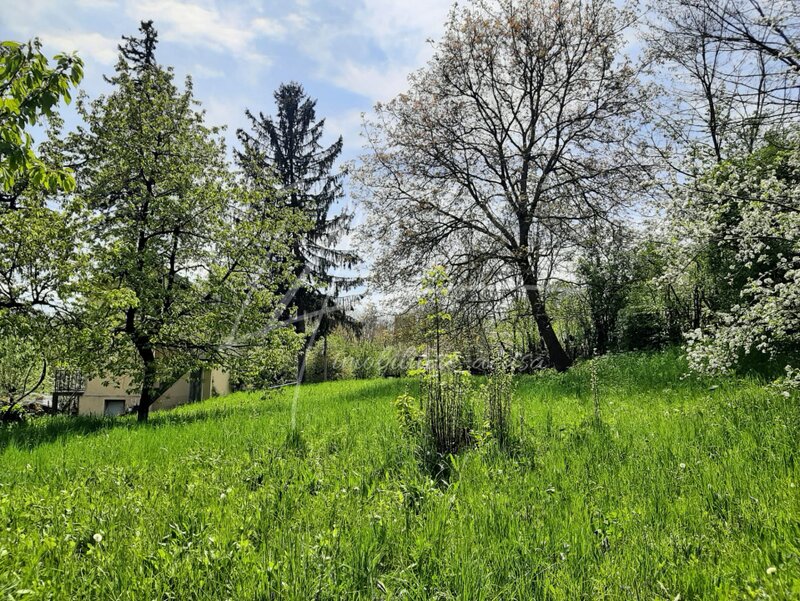 Provita de Sus, teren intravilan constructie, intabulata-ideal pentru renovare.