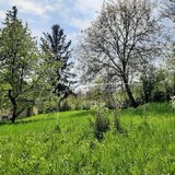 Provita de Sus, teren intravilan constructie, intabulata-ideal pentru renovare